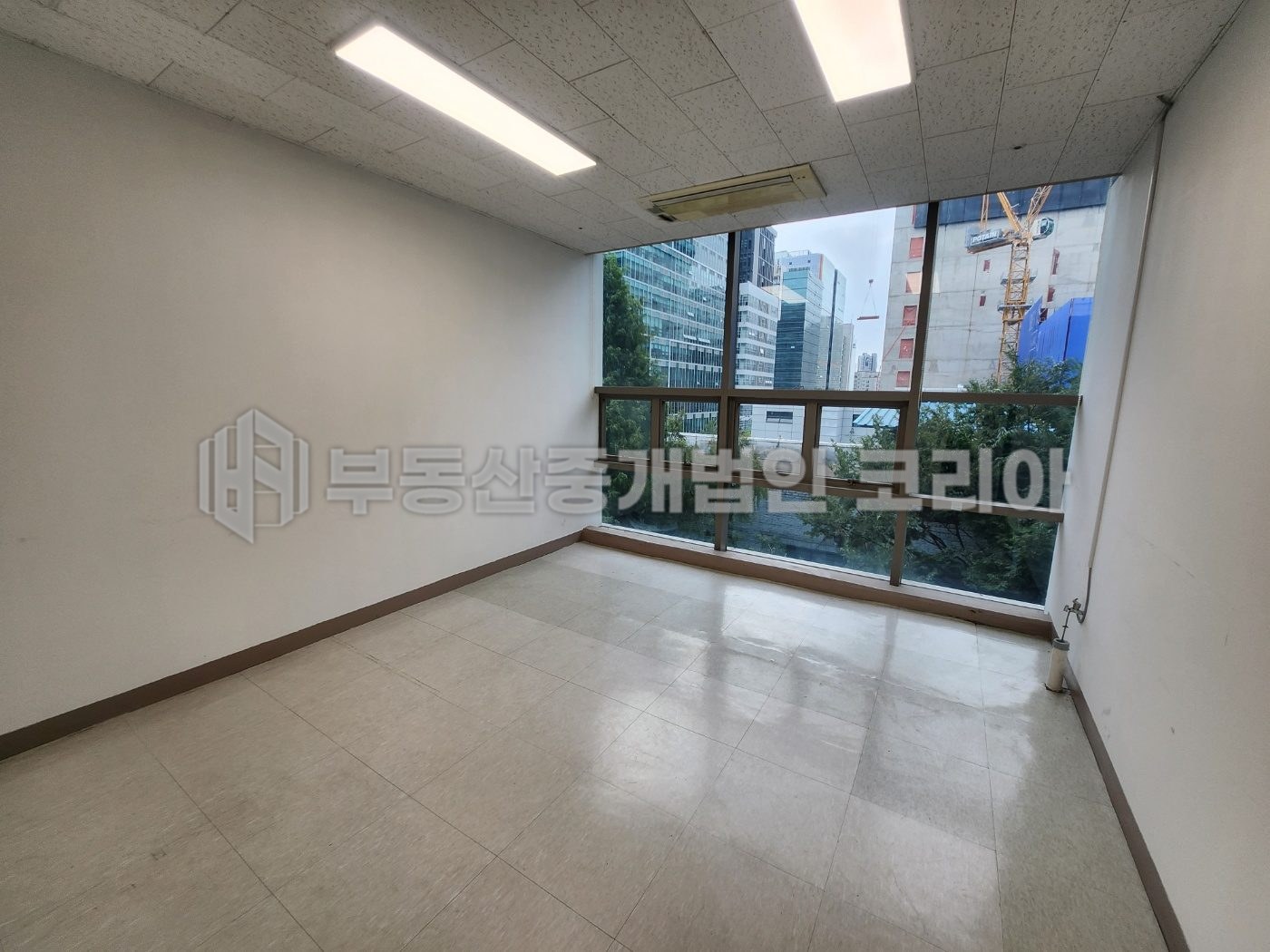 현장 사진 6