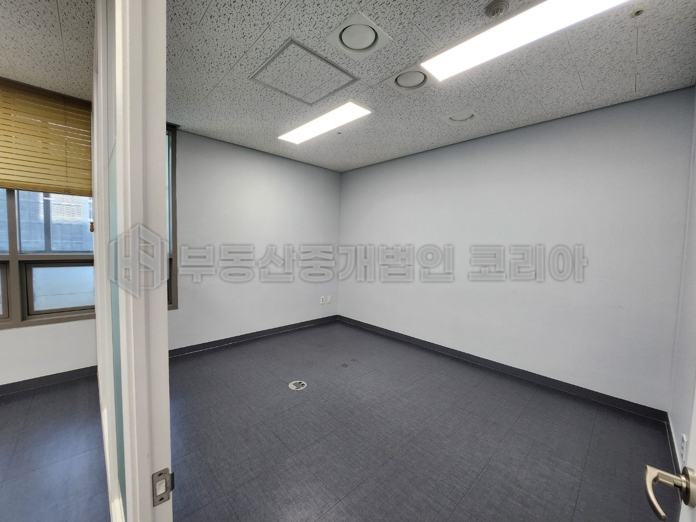 현장 사진 6