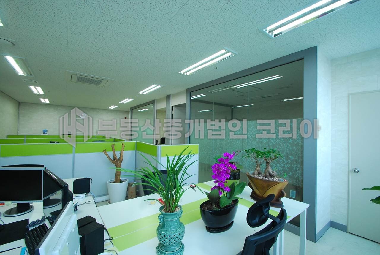 가산 대성디폴리스 전용 25평 사무실 현장 사진
