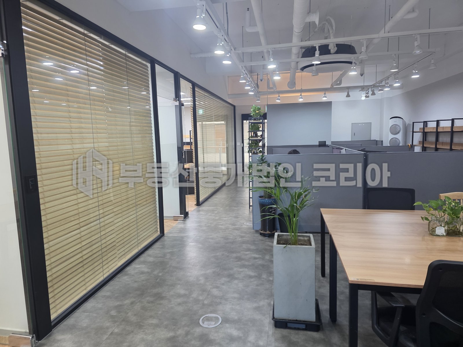 가산 우림라이온스밸리 1차 A동 13층 전용 40평형 공장 매매 - 우드 블라인드 회의실 앞 복도